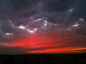 DSCN0544