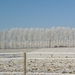 winter2008-2009 Aalter brug