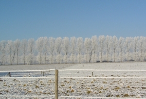 winter2008-2009 Aalter brug