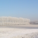 winter2008-2009 Aalter Brug