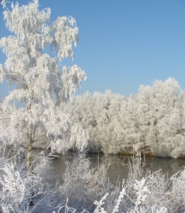 winter2008-2009 Aalter Brug