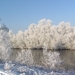 winter2008-2009 Aalter Brug