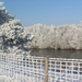 winter2008-2009 Aalter Brug