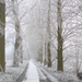 winter2008-2009 Aalter Brug