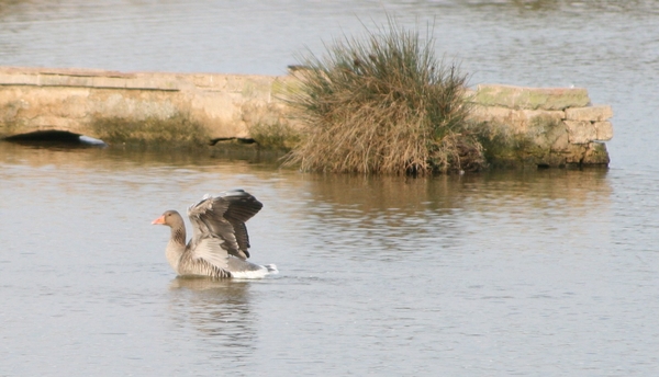 Mooi in de plooi leggen