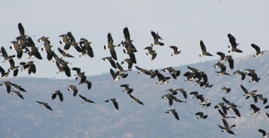 Met zijn allen in de lucht