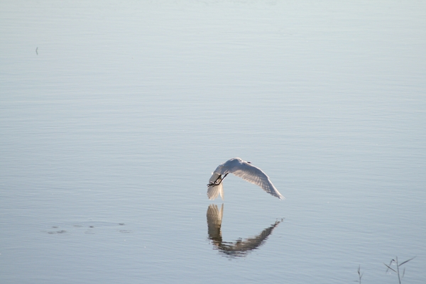 Rakelings over het water