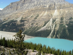 ICEFIELD PARKWAY