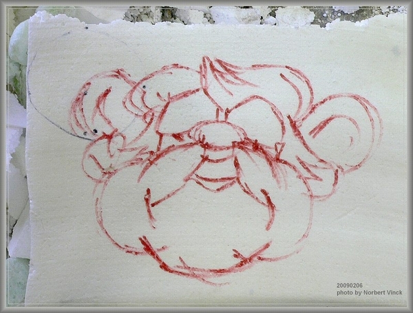 sized_sized_P1880736a begintekening hoofd