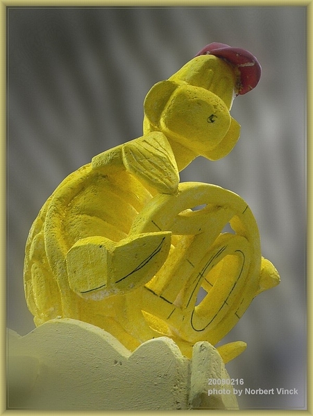 sized_sized_P1890279a schildpad