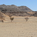 Egypte