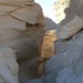 Egypte