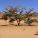 Egypte
