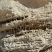 egypte