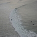 Biarritz