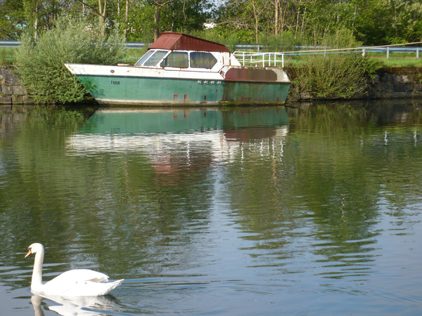 boot met zwaan bewerkt