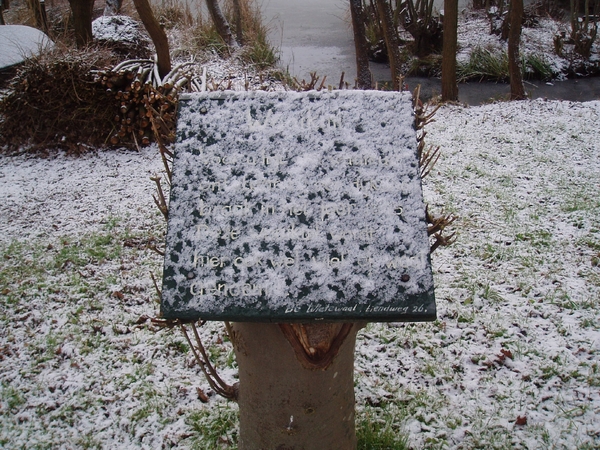 waaigatbord met sneeuw