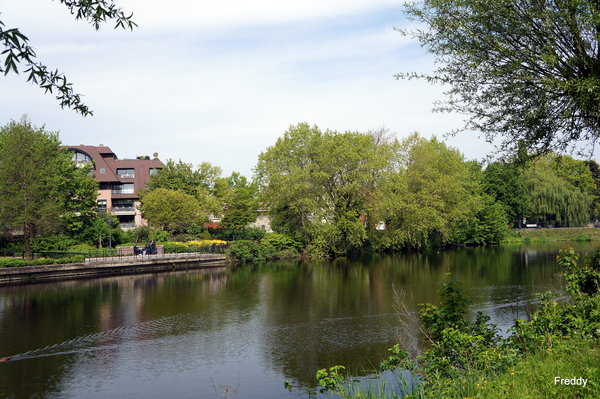 Stadspark-Roeselare-19 Mei-2013