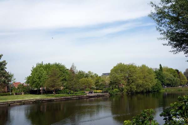 Stadspark-Roeselare-19 Mei-2013