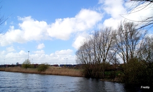 Schiervelde-Roeselare-18-4-2013