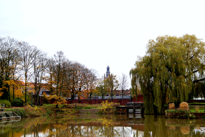 Stadspark-Roeselare-24-11-2013