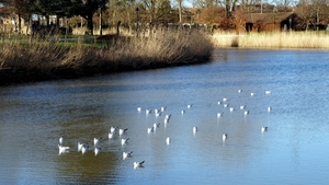 St-Sebastiaanspark-Roeselare