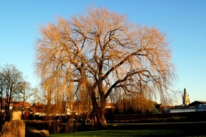 St-Sebastiaanspark-Roeselare