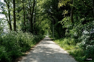 Stroroute-Roeselare-Ieper-2014