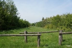 Stroroute-Roeselare-Ieper-2014