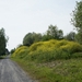 Stroroute-Roeselare-Ieper-2014