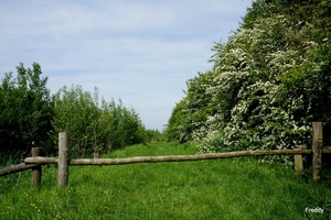 Natuurdomein-Vierkaven-Moorslede-2014