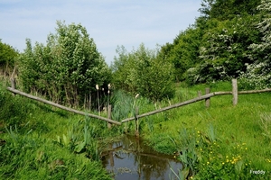 Natuurdomein-Vierkaven-Moorslede-2014