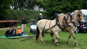 Open Huis-Staden-2015