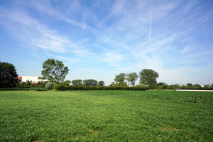 Landschapsfoto-2015