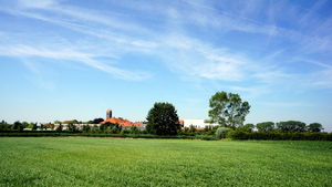 Landschapsfoto-2015