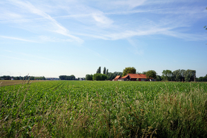 Landschapsfoto-2015