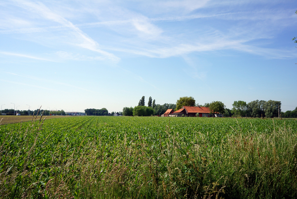 Landschapsfoto-2015