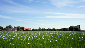 Landschapsfoto-2015