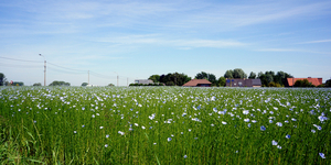 Landschapsfoto-2015