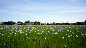 Landschapsfoto-2015