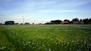 Landschapsfoto-2015