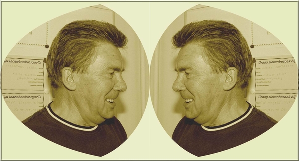 Alphonse de vos ele 1 Pf1