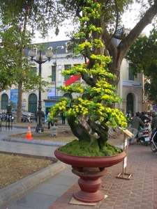 DSCN3746