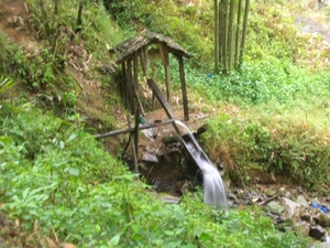 DSCN3890