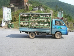 DSCN3985