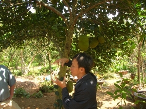 DSCN4035