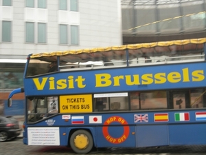 2009-02-09 Brussel Europees Parlement (40)