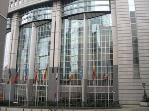 2009-02-09 Brussel Europees Parlement (62)
