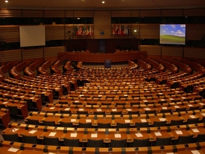 2009-02-09 Brussel Europees Parlement (88)