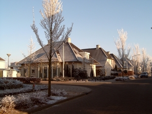 DSC00041